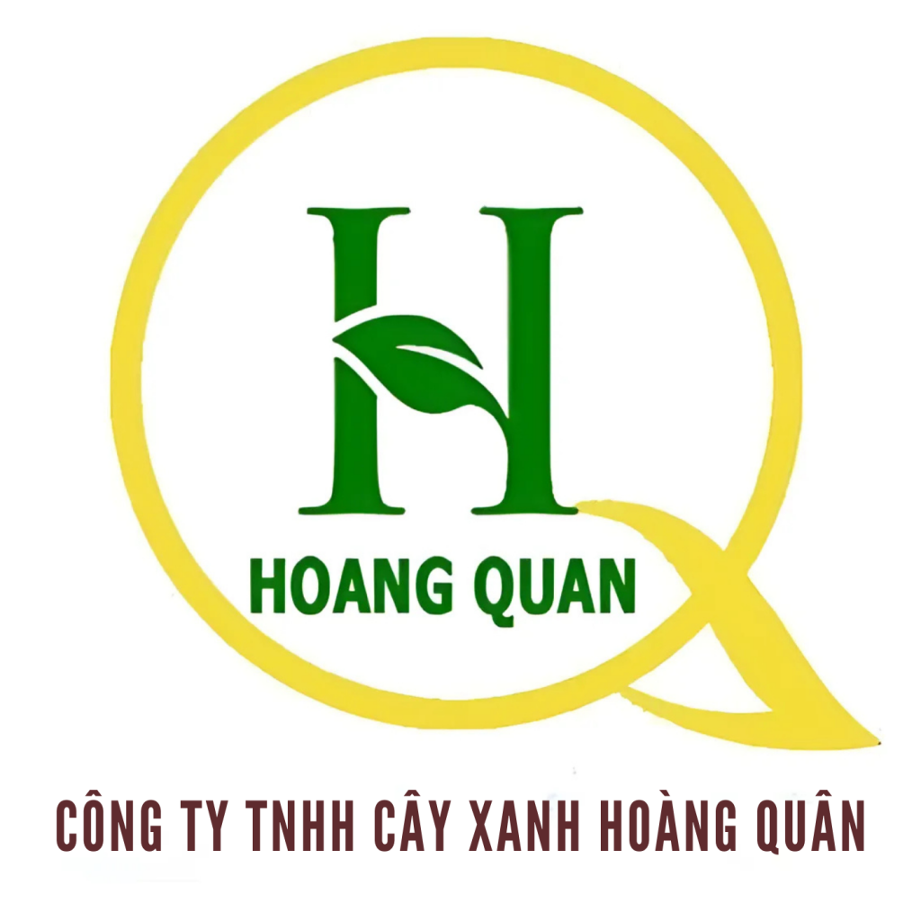 Hoàng Quân